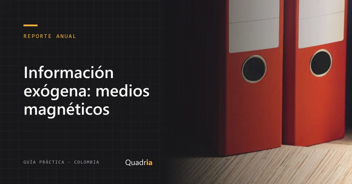 Portada: Información exógena en medios magnéticos: guía